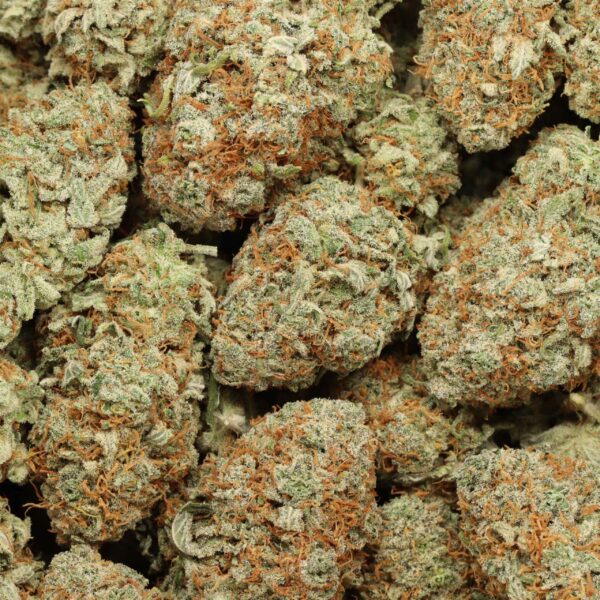 AK47 strain