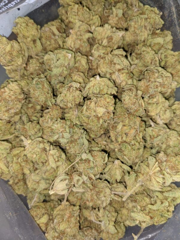 Banana Cream Pie Strain