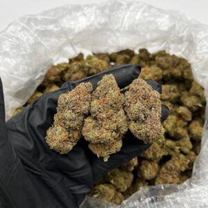 Banana Cream Pie Strain
