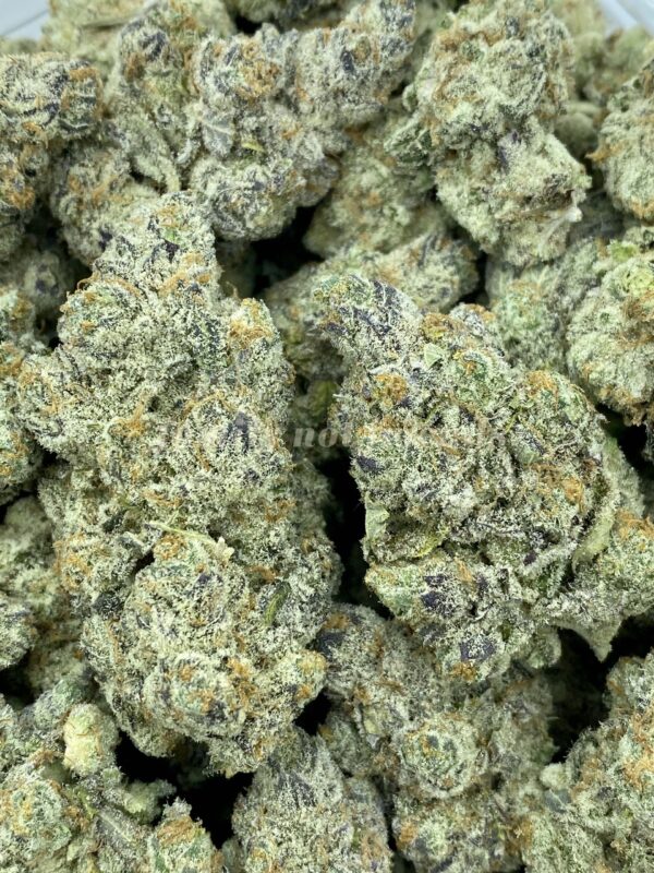 Sherbert - Image 3