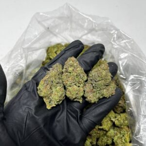 Birthday Cake strain