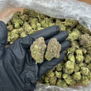 Black Cherry strain