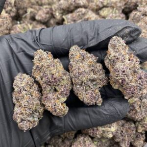 Black Runtz strain