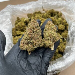 Blue Bliss Strain