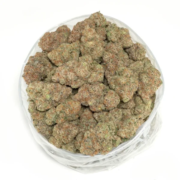 Blue City Diesel - Image 3