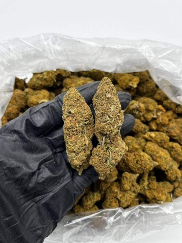 Blue City Diesel Strain