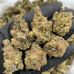 Blue Dream strain