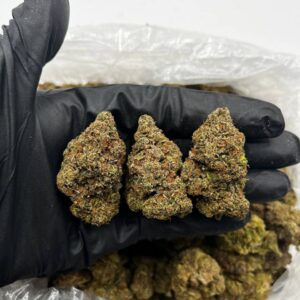 Blue Razz strain