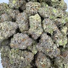 Blue Truffle strain