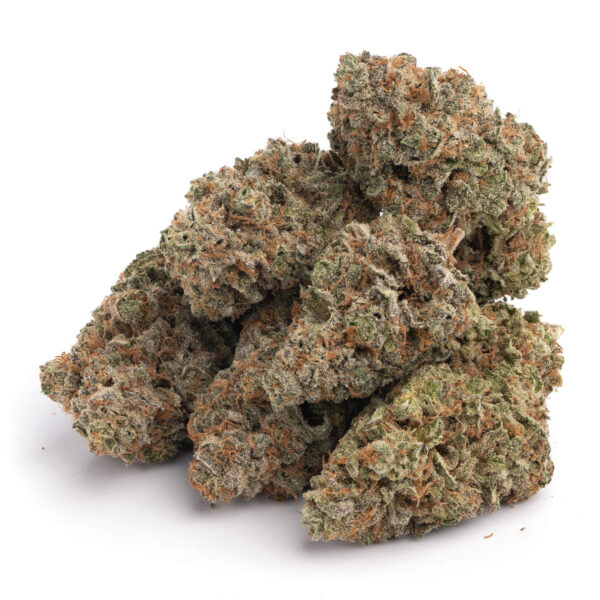 Blueberry strain