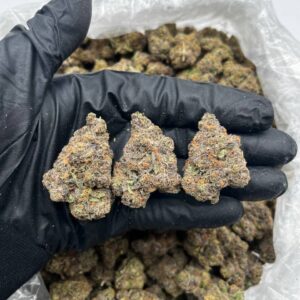 Bubblegum Drop strain