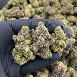 Bubblegum Runtz Strain