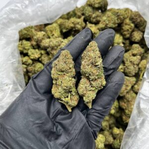 Camo Blue Strain
