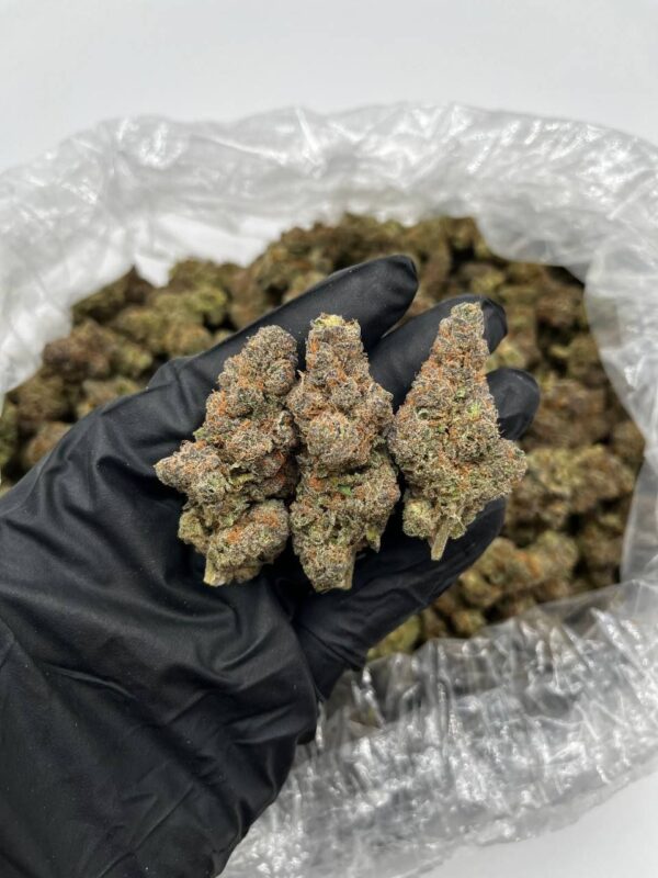 Carbon Candy strain