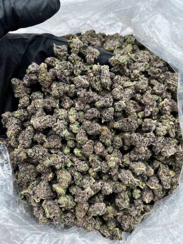 Cereal Milk smalls