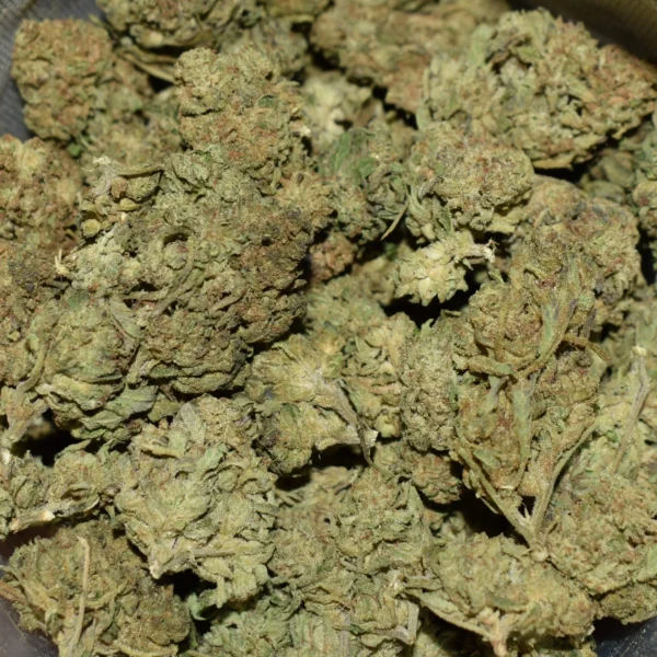 Cheesecake strain
