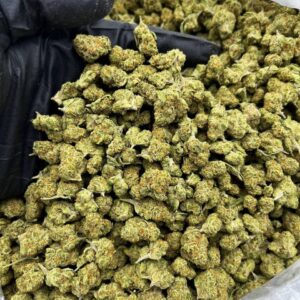 Cheetah Piss Smalls strain