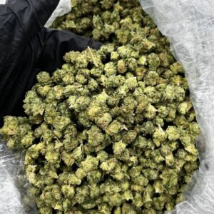 Chem Driver Strain