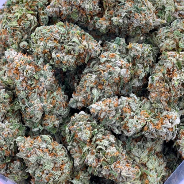 Cherry Pie strain