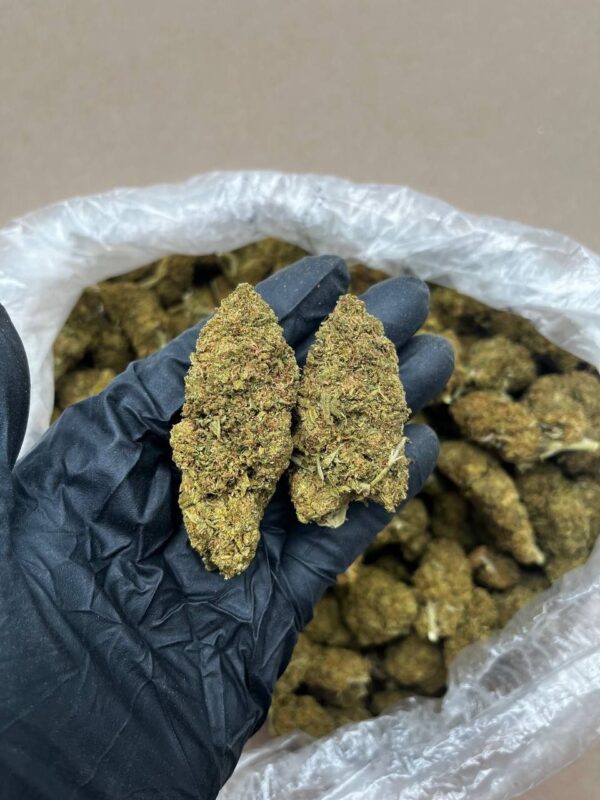 Cherry Pie strain