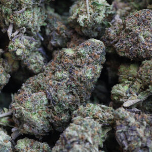 Cherry Soda Strain