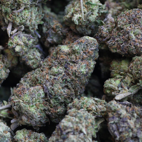 Cherry Soda Strain