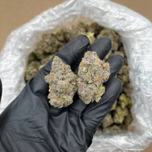 Cherry Souffle strain
