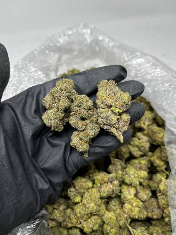 Cookies and Cream strain