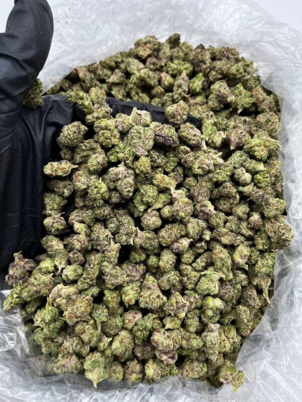 Cookies Smalls strain