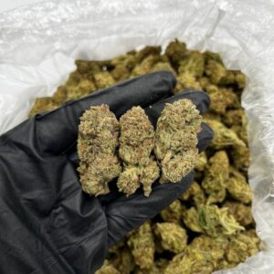 Diamond Cookies strain