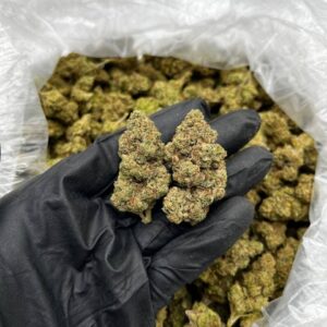 Dosi MAC strain
