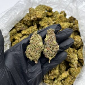 Double R strain