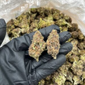Durban Dream strain