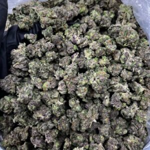 Gary Payton x Fishscale strain