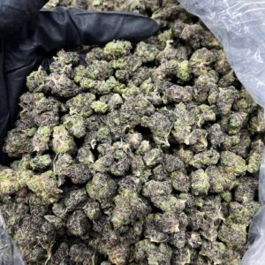 Gelato Smalls Strain
