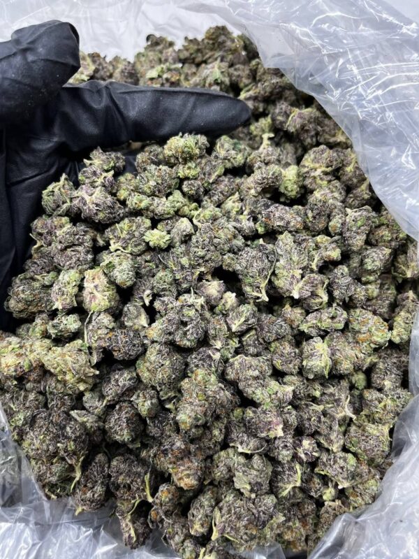 Gelato Smalls Strain