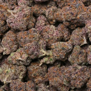 Gumbo Strain