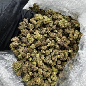 Gushers 41