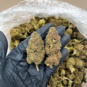 Ice Cream Cake strain