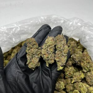 Ice Cream Gelato strain