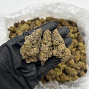 Jealousy Runtz strain