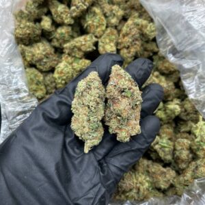 Jealousy Skittles strain