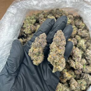 Jelly Pie strain