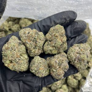 Joker Candy Strain