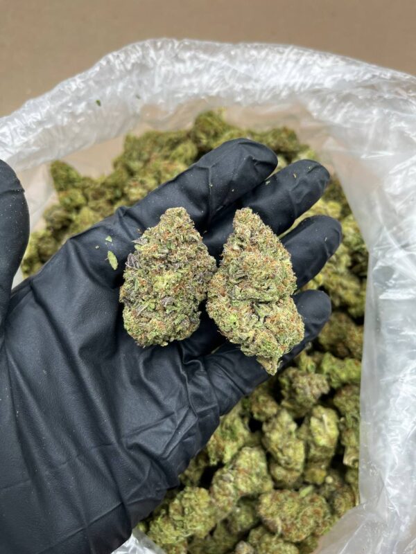Lava Cake strain