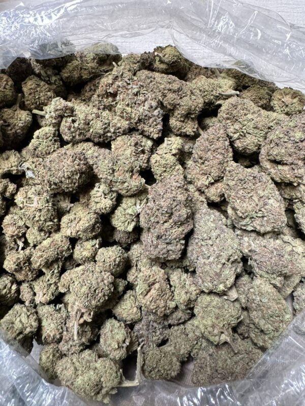 MAC 10 strain