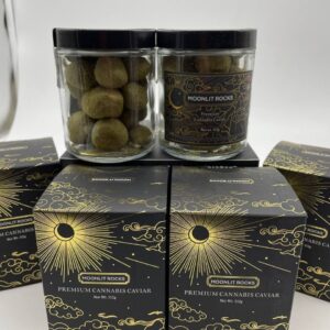 Moonlit Moon rocks