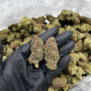 Mendo Breath strain