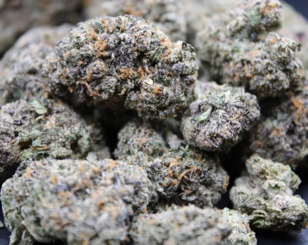 Zookies Strain