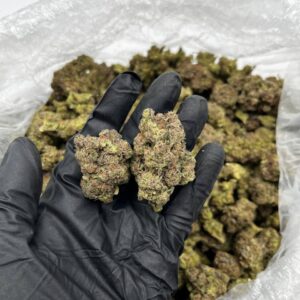 Pink Rose Strain